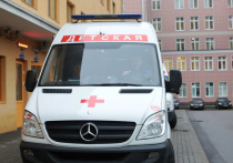 Семилетний мальчик погиб 29 апреля в результате несчастного случая в поселке Кострово Истринского района Подмосковья