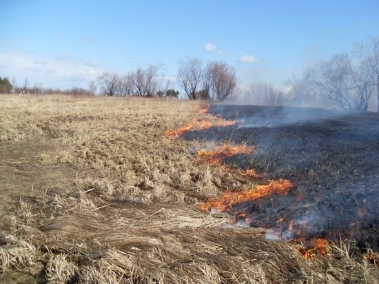 16 загораний травы зафиксировано в Нижегородской области
