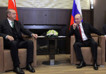 Владимиру Путину на переговорах с Реджепом Эрдоганом удалось полностью отстоять интересы российских сельхозпроизводителей