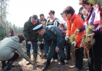 В минувшую субботу, 29 апреля, жители Подмосковья вышли на посадку деревьев в рамках акции «Лес Победы», посвящённой Победе в Великой Отечественной войне