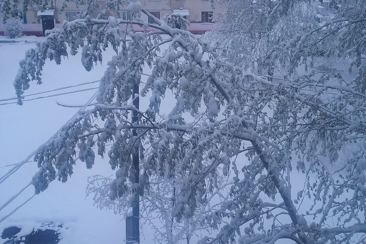 Погода в красноярске в феврале. Снегопад в Красноярске. Красноярск май снег. Бабр снегопад.