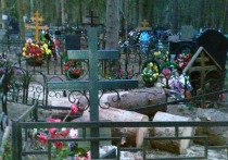 Жуткое зрелище открылось в воскресенье глазам посетителей кладбища «Новая деревня», которое расположено в живописном хвойном бору в подмосковном Пушкино
