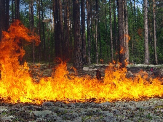 В Кемеровской области действует группировка сил для тушения крупных лесных пожаров, состоящая из почти трех тысяч человек