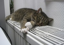 Из-за холодов в домах москвичей вновь будет включено отопление — об этом нам сообщили в МОЭК («Московской объединенной энергетической компании»)