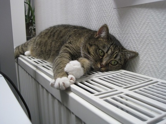 Тепло в квартиры москвичей начнет поступать уже сегодня