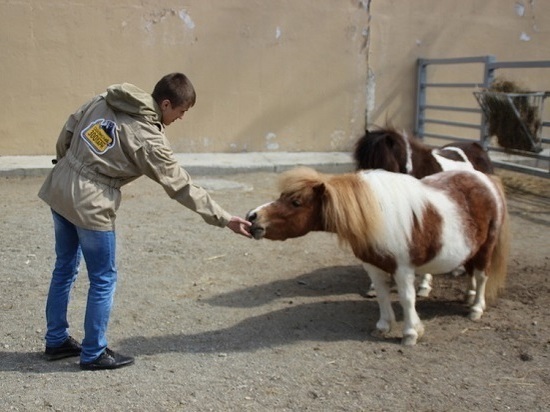 Наш корреспондент побывал за кулисами Сахалинского зоопарка