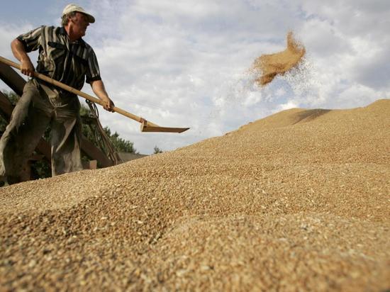 Мы до сих пор считаем нашу страну одной из первых в мире в производстве зерна, хотя это уже не так...