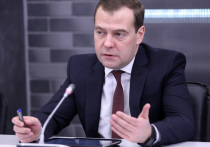 Дмитрий Медведев, который, как известно, имеет одного сына-студента, во вторник дезавуировал слухи о намерении правительства ввести новый налог на малодетность