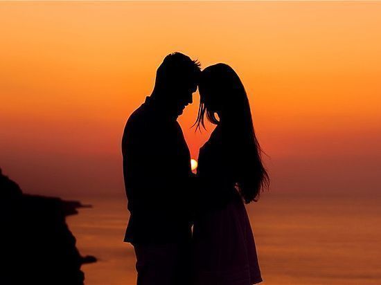 Австралийские учёные занялись поистине важным делом