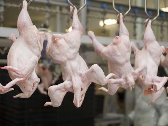 Мясо птицы также запретили  вывозить из Республики Калмыкия, Астраханской, Ростовской и Московской областей, а также Чеченской Республики 