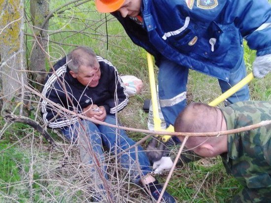 В Ростовской области задержали мужчину, приковавшего в лесу жителя Волгодонска