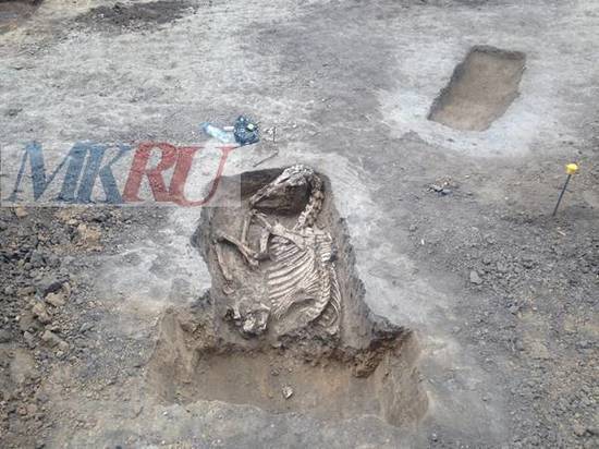 В центре Ростова ученые нашли ритуальное захоронение коня