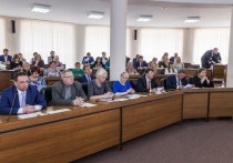 В Думе Нижнего Новгорода 17 мая прошли публичные слушания по внесению изменений в Устав города