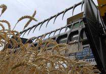 Турция ужесточила ограничения на ввоз российской пшеницы