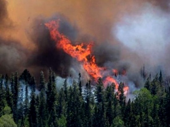 Поля и леса в Красноярском крае начинают гореть уже ранней весной