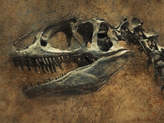 68 миллионов лет назад Америка могла выглядеть не так, как считается на сегоддняшний день