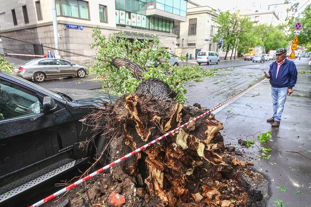 На Москву обрушился ураган-убийца: есть погибшие