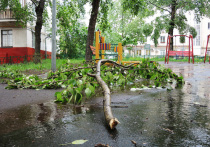 Вторую волну вчерашнего урагана, который унес жизни 16 человек и повалил 14 тысяч деревьев в московском регионе, напророчили столичные чиновники