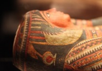 Долгое время считалось, что в египетских мумиях не осталось пригодного для изучения генетического материала