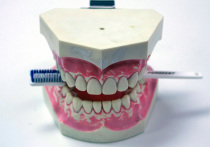 Стоматолог санкт-петербургской клиники, которую обвинили в удалении 22 здоровых зубов пациентки ради наживы, скрылась от следствия