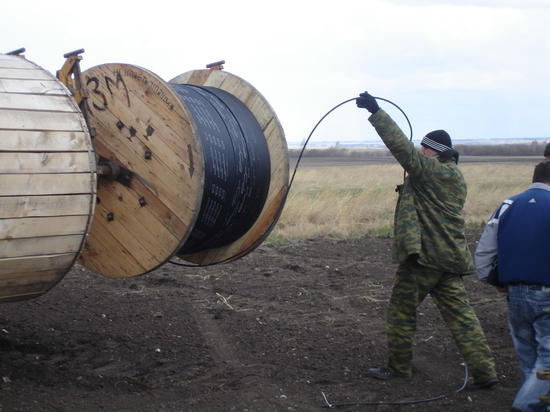 «Ростелеком» строит оптические сети для агропредприятий Алтайского края
