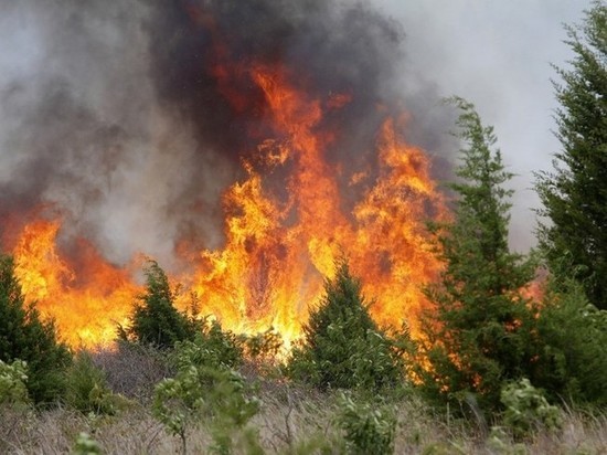 В Тайшетском и Чунском районах огонь уничтожил 40 домов в пяти населенных пунктах