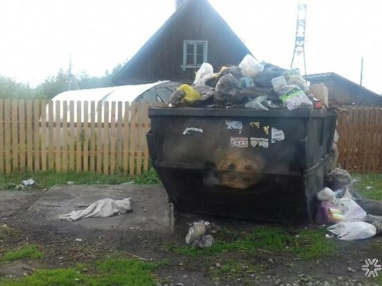 В одном из районов Кемерова специалисты три недели не вывозят мусор 
