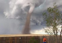 Канадец Теунис Весселс, спокойно подстригающий лужайку на фоне гигантского торнадо, покорил  пользователей соцсетей своим бесстрашием