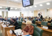 Совет Федерации намерен создать специальную комиссию по борьбе с вмешательством во внутренние дела России