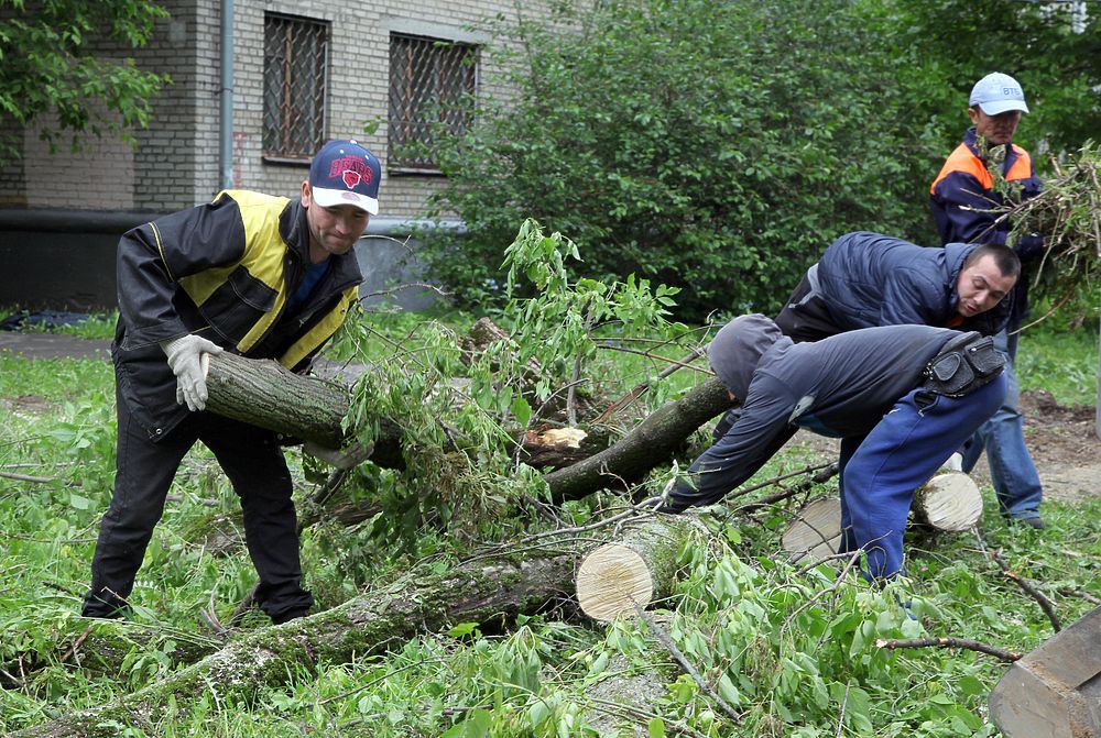 В Москве ликвидируют последствия урагана: поваленные деревья только начали вывозить