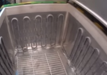 Итальянские полицейские, начавшие поиски новорожденного ребенка после заявления врачей, к своему ужасу обнаружили его в морозильном отделении холодильника в доме матери