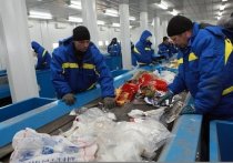 Рост экономики и продолжающаяся урбанизация в Казахстане являются причинами ежегодного повышения объемов твердых бытовых отходов