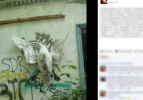 Шокирующую фотографию распятого белого лебедя на стене дома в Шадринске в Курганской области опубликовала редактор местной газеты «Исеть» Светлана Емельянова