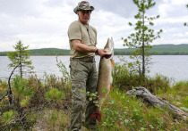 Отвечая на один из последних вопросов линии: «Какую самую большую рыбу вы поймали?» — Путин вспомнил про щуку, которая потянула на 21 кг
