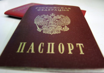 Думская рабочая группа по подготовке текста присяги, которую будут произносить желающие получить гражданство РФ, провела первое открытое заседание