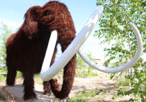 Скульптуру мамонта, обитавшего на северо-востоке России 9 тысяч лет назад, в натуральную величину изготовили осужденные якутской колонии