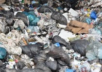 Вице-спикер Рады и лидер парламентской фракции пошли на крайние меры в борьбе с "мусорной блокадой" во Львове