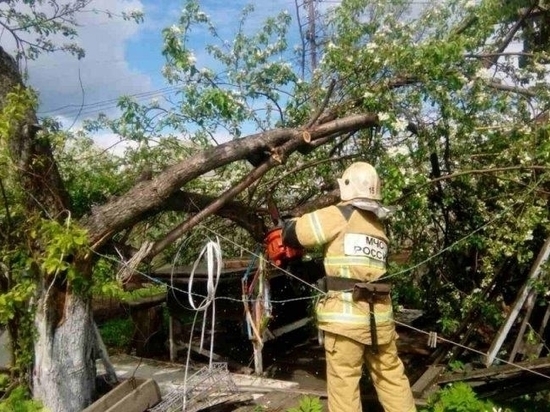 В Зауралье ведутся аварийно-восстановительные работы после урагана