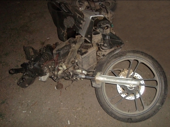 Мотоциклист погиб, столкнувшись с теленком в Республике Алтай