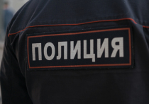Спор между прокуратурой и Следственным комитетом вызвало нападение на сотрудника 1-го полка полиции ФГКУ УВО Войск национальной гвардии, которое было совершено 21 июня в Новой Москве