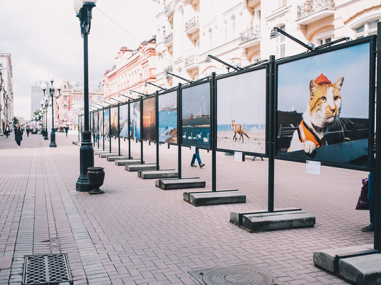 Москвичи и гости столицы рассматривают Кpымский мост на фотовыставке