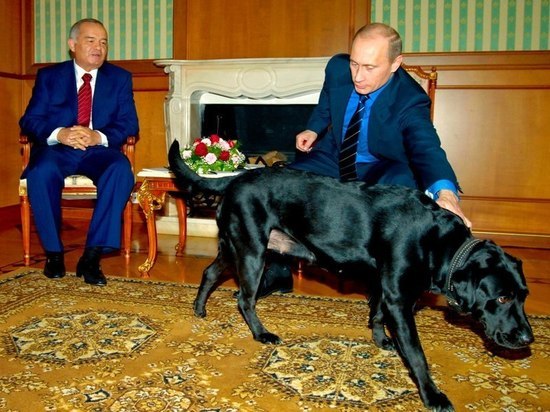 Жители Костромы и гости города увидят необычные фотографии Владимира Путина