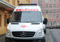 Подробности трагедии в подмосковном поселке Горки Ленинские, где в ночь на вторник  31-летняя женщина напала с ножом на свою мать и двух маленьких детей, стали известны «МК»