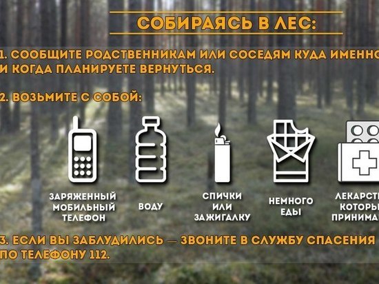 Подробная инструкция от спасателей для заблудившихся в лесу