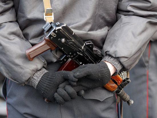 Минюст подготовил проект приказа о применении оружия сотрудниками ФСИН