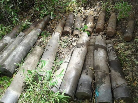 Садовод обнаружил 10 артиллерийских снарядов в Алтайском крае