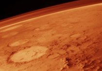Изучая спутниковые фотографии Марса, сделанные научным зондом на орбите Красной планеты, уфологи заметили необычный объект, который, по их мнению, напоминает голову животного