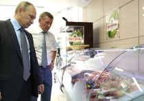 Россия дала мощный «ассиметричный ответ» на очередные санкции ЕС против нашей страны