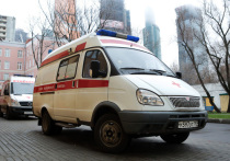 Спасти жизнь 30-летнему гражданину Таджикистана, которого ударили молния в элитном поселке в деревне Софьино в Новой Москве, прямо сейчас пытаются сотрудники «скорой помощи»