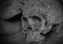 Археологи, работающие в мексиканском городе Мехико, обнаружили  в районе Темпло Майор башню, сделанную из человеческих черепов